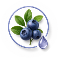 Extrato de Blueberry